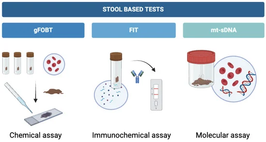 Colorectal stool based tests overview illustration